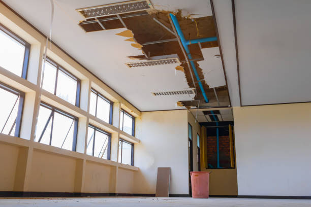 Best Commercial water damage restoration  in White House Station, NJ