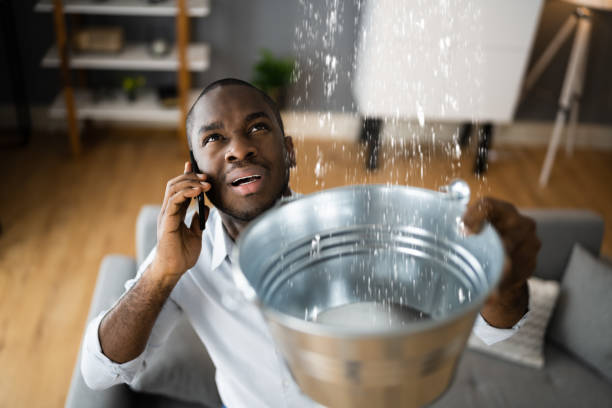 Best Flood restoration services  in White House Station, NJ