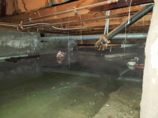 Water damage restoration insurance claims in White House Station, NJ