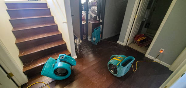Best Water damage restoration near me  in White House Station, NJ