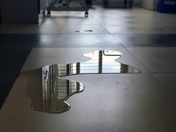 Best 24/7 water damage repair  in White House Station, NJ